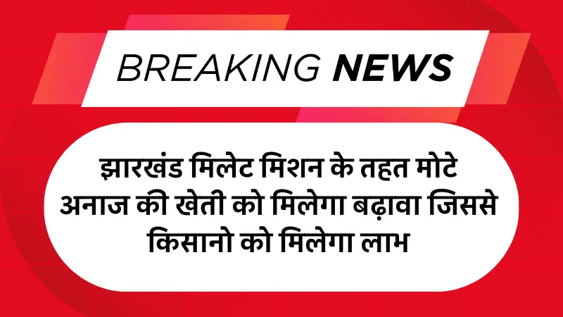 Jharkhand Millet Mission Yojana 2025: झारखंड मिलेट मिशन के तहत मोटे अनाज की खेती को मिलेगा बढ़ावा जिससे किसानो को मिलेगा लाभ